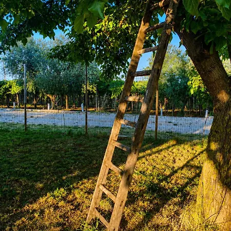 Orizzonti Ortona